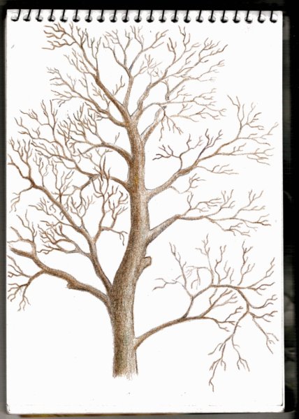 Дерево для рисования