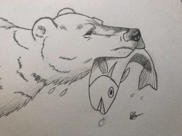 Как рисовать медведя