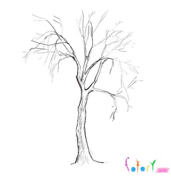 Дерево зимой рисунок карандашом