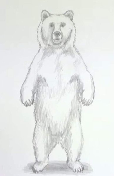 Плюшевый мишка рисунок карандашом