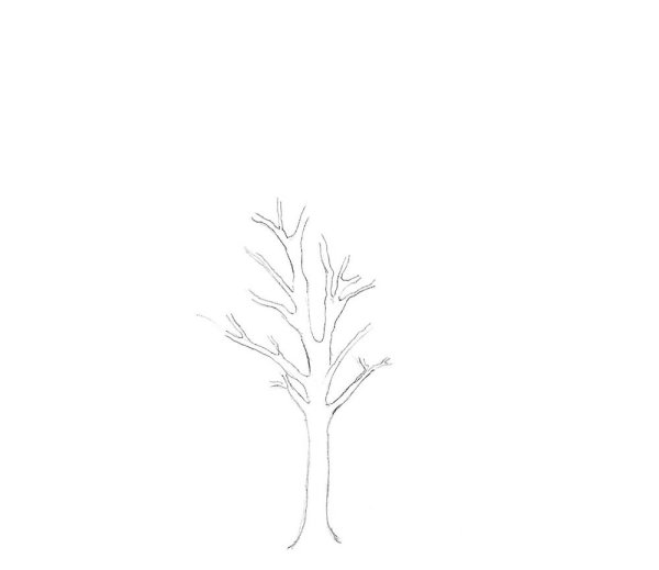 Зимнее дерево карандашом