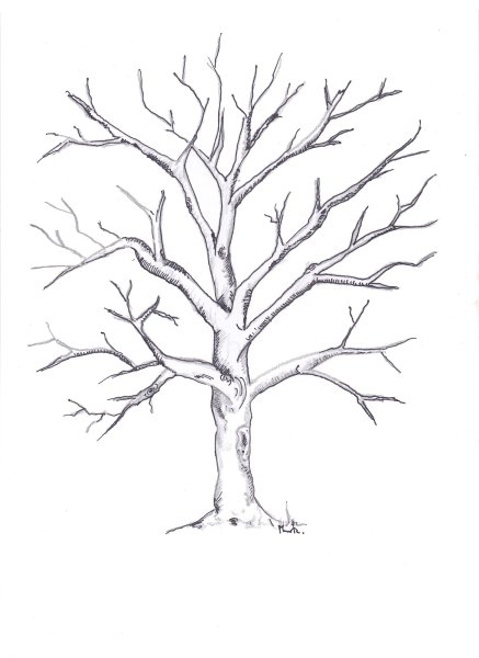 Дерево для отпечатков