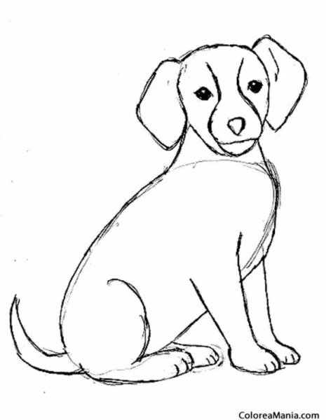 Собака карандашом легко