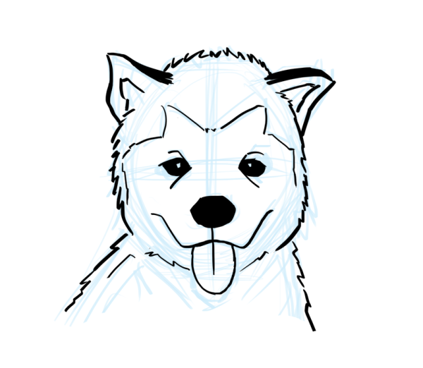 Нарисовать хаски карандашом