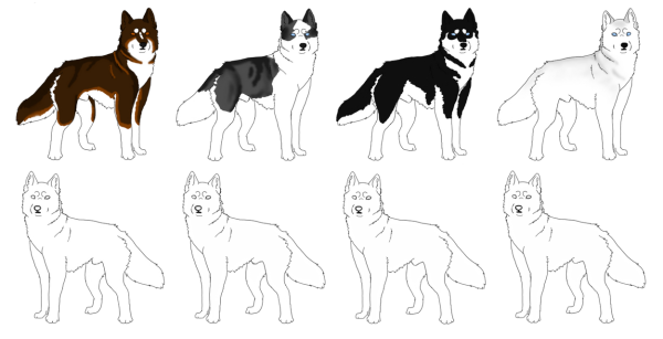 Хаски карандашом