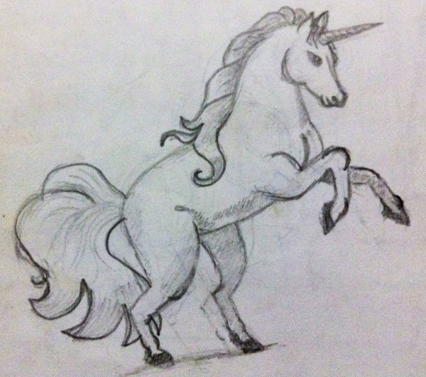 Единорог для срисовки карандашом легкие