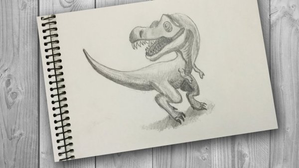 Рисунки для срисовки для продвинутых