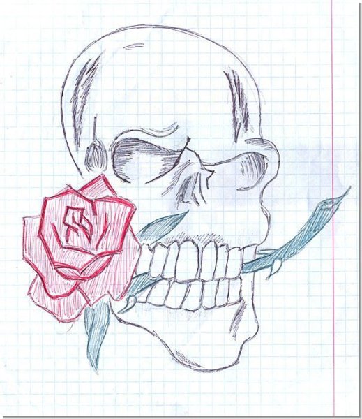 Крутые рисунки для срисовки карандашом легкие