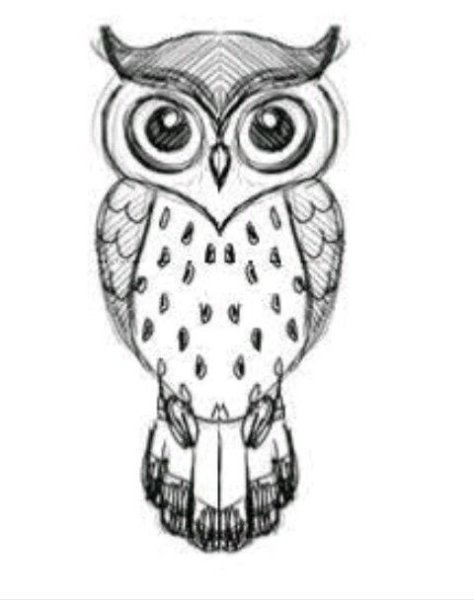 Рисуем сову поэтапно карандашом
