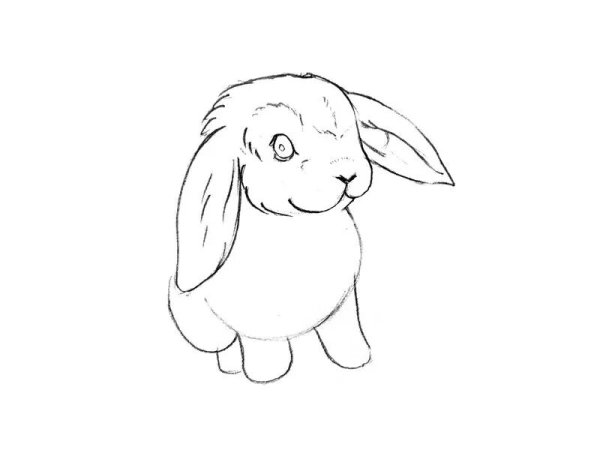 Рисунки для срисовки Зайка