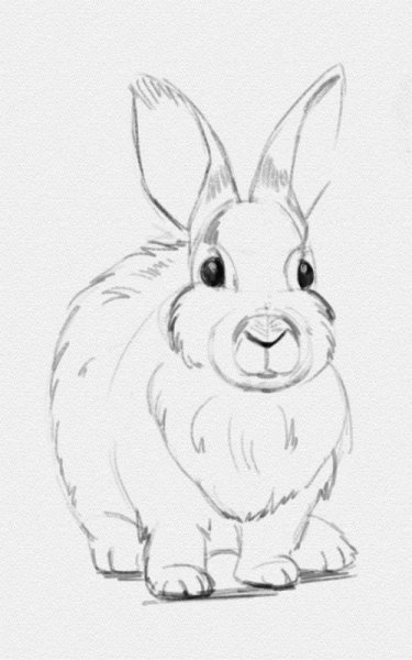 Рисунок кролика для срисовки