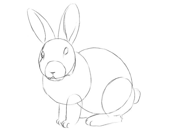 Рисование зайца