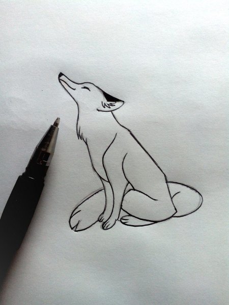 Лисица рисунок карандашом