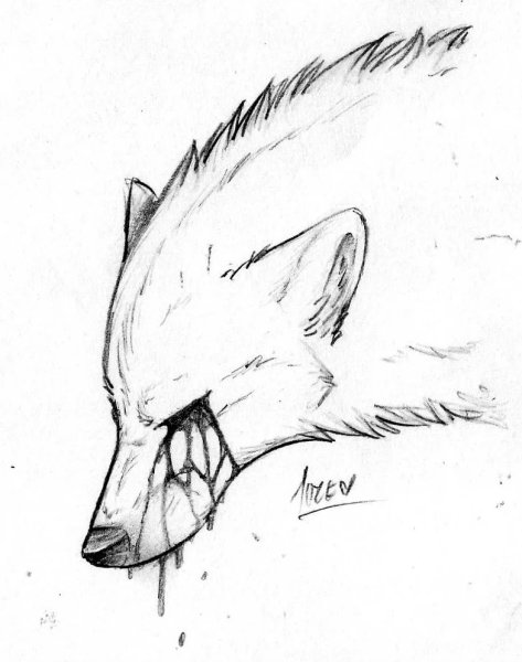 Рисование Лисенок