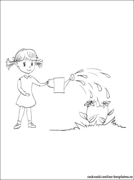 Раскраска полив цветов
