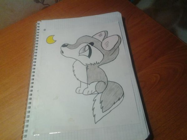 Волчонок рисунок легко