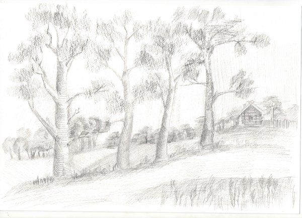 Родной край эскиз