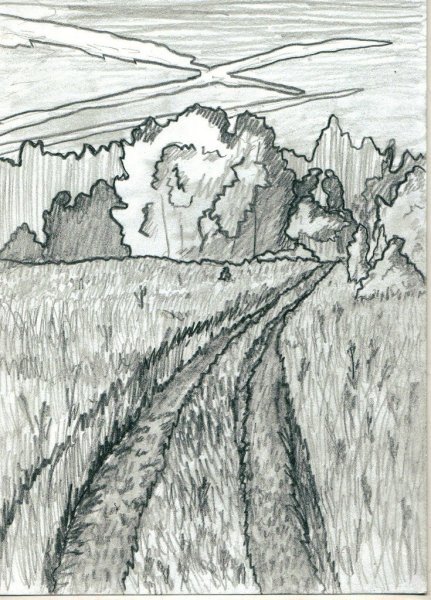 Пейзаж большой мир