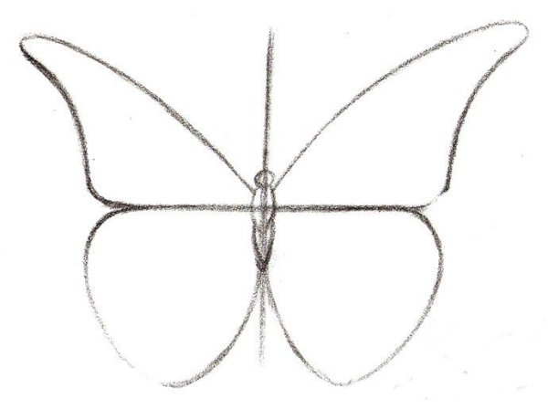 Симметричные рисунки по клеточкам