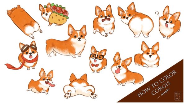 Корги сзади вектор