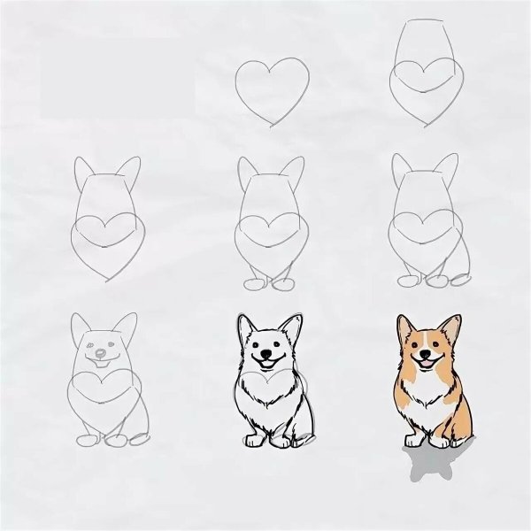 Корги для срисовки легкие