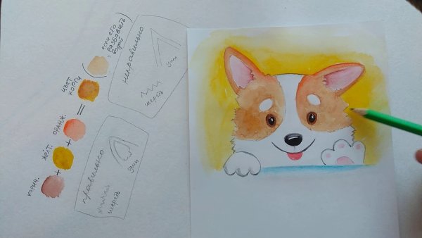 Корги рисунок поэтапно