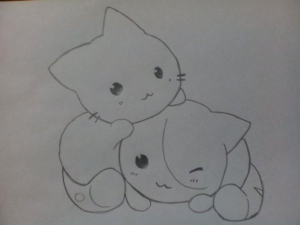 Котята рисунки карандашом легкие и красивые