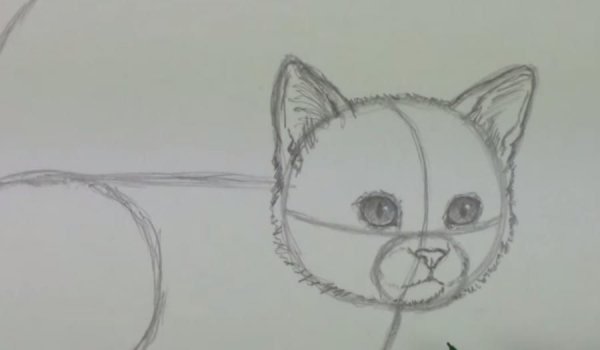 Котята рисунки карандашом легкие