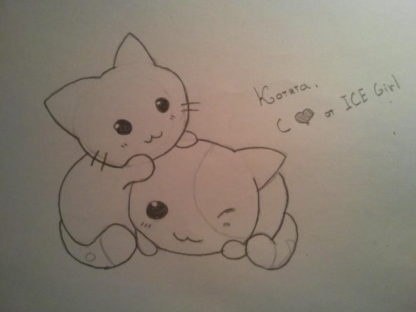Милый котик карандашом
