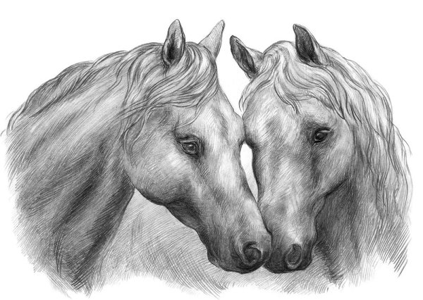 Рисование карандашом