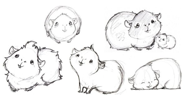 Джунгарский хомяк референс