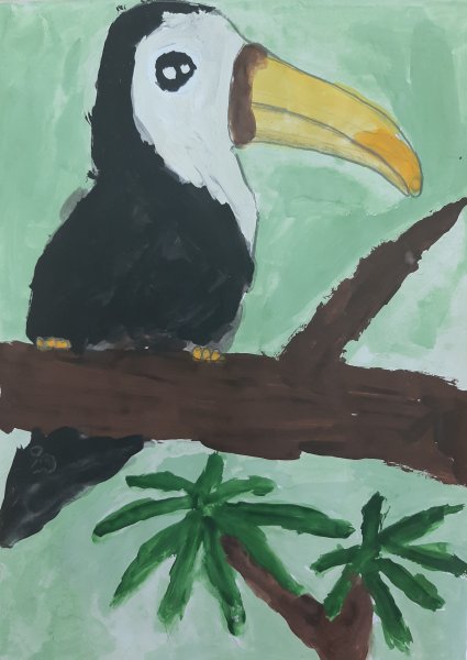 Рисуем тукана