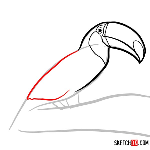 Тукан поэтапное рисование