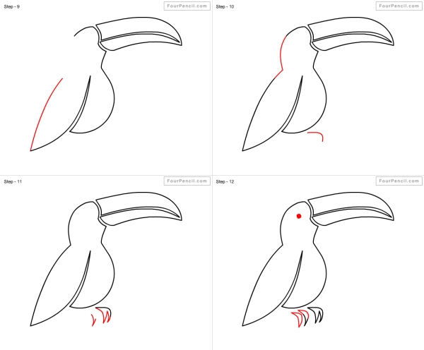 Тукан рисунок карандашом