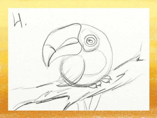 Тукан рисунок поэтапно