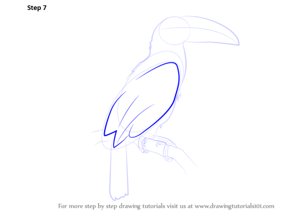 Тукан поэтапное рисование