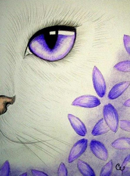 Фиолетовые рисунки несложные