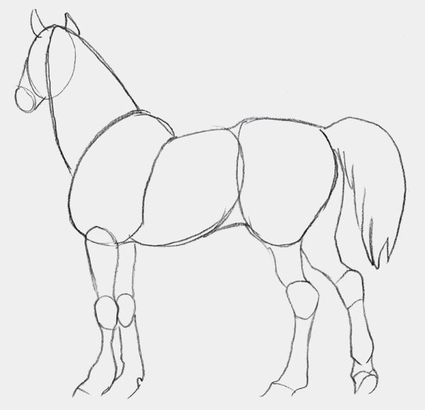 Рисунок лошади для срисовки легкие