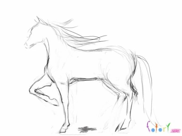 Рисунки лошади пошагово