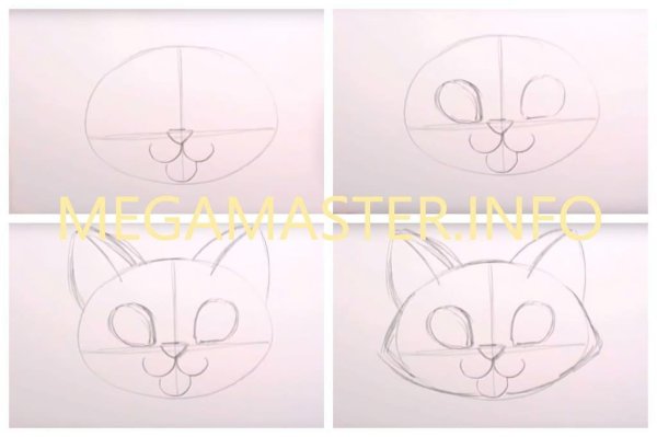 Поэтапное рисование морды кота