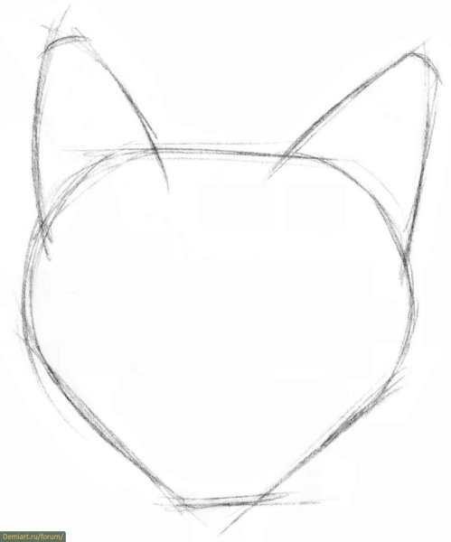 Поэтапное рисование морды кошки
