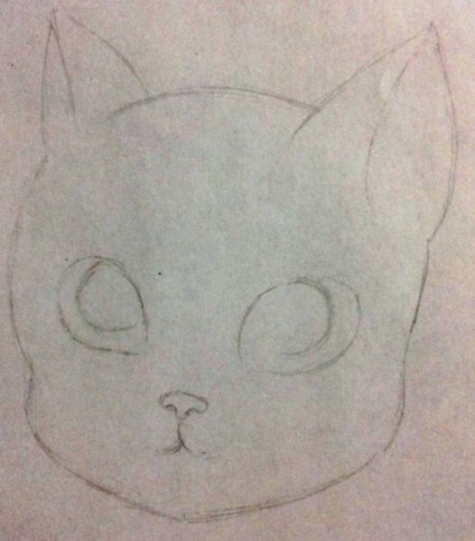Мордочка котенка карандашом