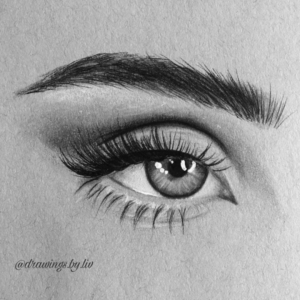 Рисунки карандашом с растушевкой