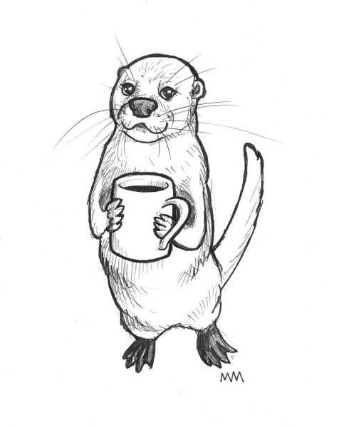 Выдра рисунок