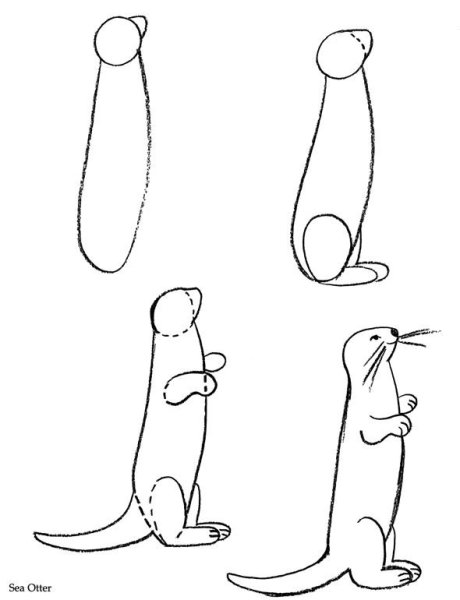 Выдра рисунок легкий