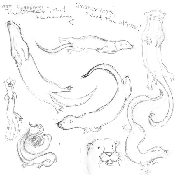 Выдра скетч