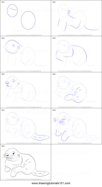 Поэтапное рисование выдра для дошкольников