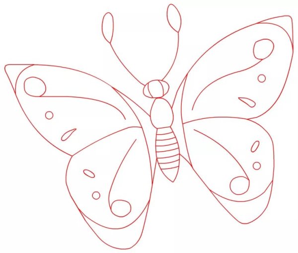 Бабочка карандашом