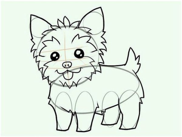 Собаки йорки черно белый