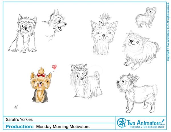 Поэтапное рисование йоркширского терьера